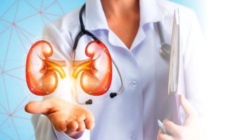 Best kidney transplant hospital in bangalore