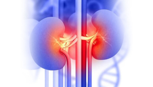 Best Nephrologist in bangalore