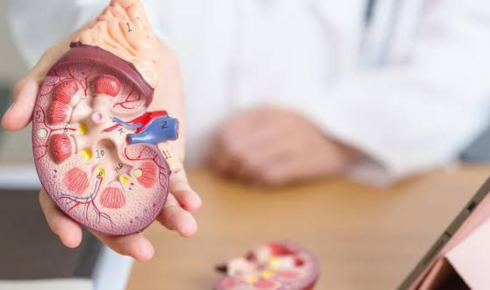 Kidney Stone Treatment In Bangalore